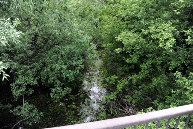 Купить земельный участок в Воронеже. Вариант № 265539, 9, площадь -  квм, цена 750000 рублей