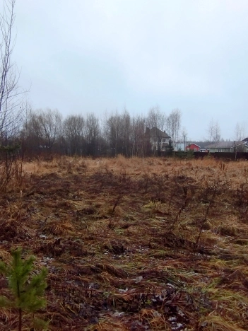 Купить земельный участок в Раменском. Вариант № 9777550, 0, площадь -  квм, цена 1200000 рублей