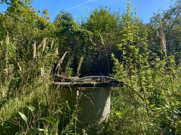 Купить дом на улице Кирова в Нижегородской области. Вариант № 58582, 17, площадь -  квм, цена 1150000 рублей