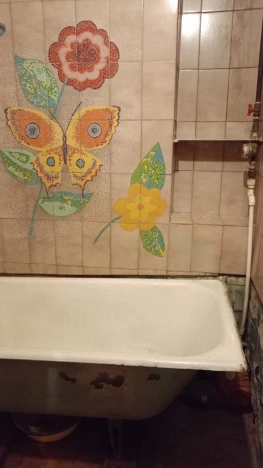 Купить однокомнатную квартиру в Новосибирской области. Вариант № 9873770, 5, площадь -  квм, цена 3600000 рублей