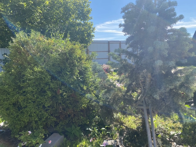 Купить дом в Москве. Вариант № 11944, 34, площадь - квм, цена 16800000 рублей