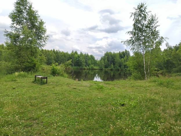 Купить дачу в Владимирской области. Вариант № 48963, 20, площадь -  квм, цена 2700000 рублей