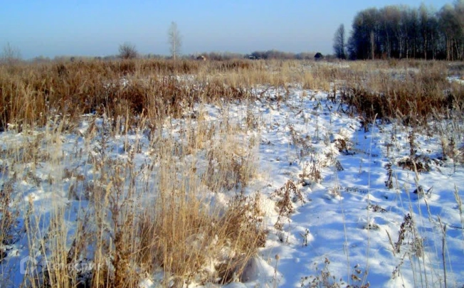 Купить земельный участок в Раменском. Вариант № 23531, 1, площадь -  квм, цена 4000000 рублей