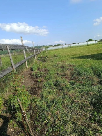 Купить дом в Кемерове. Вариант № 7824651, 2, площадь -  квм, цена 1100000 рублей