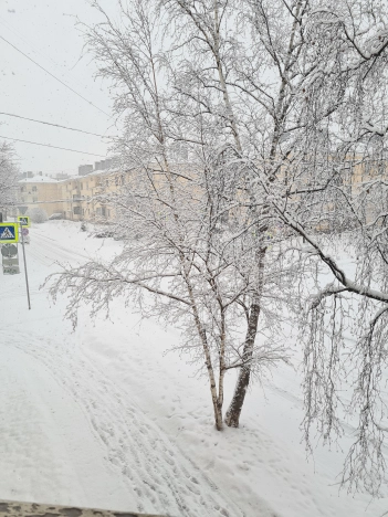 Купить двухкомнатную квартиру в Санкт-Петербурге. Вариант № 10179521, 10, площадь -  квм, цена 9700000 рублей