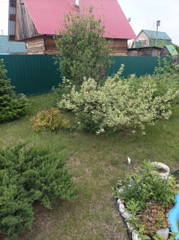 Купить дачу в Новосибирске. Вариант № 6823886, 4, площадь -  квм, цена 1700000 рублей