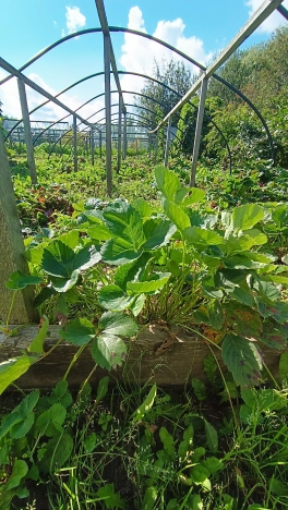 Купить дом в Микрорайоне Восточный, Тобольск в Тобольске. Вариант № 22430, 20, площадь -  квм, цена 15000000 рублей