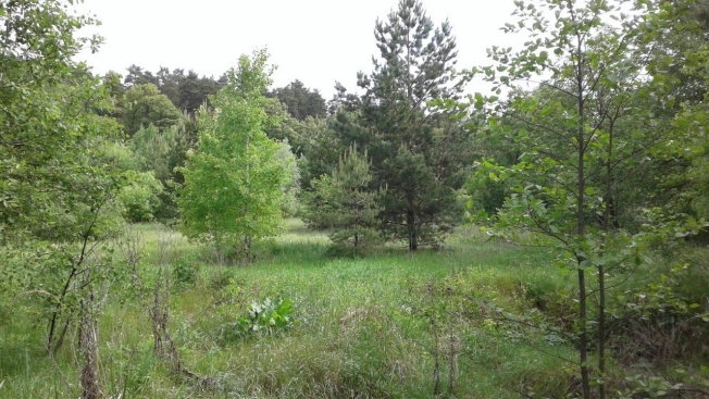 Купить земельный участок в Пензе. Вариант № 1447, 3, площадь -  квм, цена 1000000 рублей