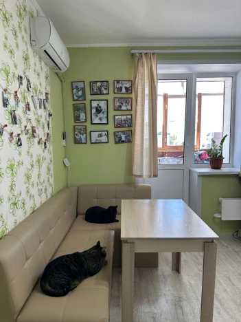 Купить однокомнатную квартиру в Волгограде. Вариант № 10354375, 3, площадь -  квм, цена 4000000 рублей