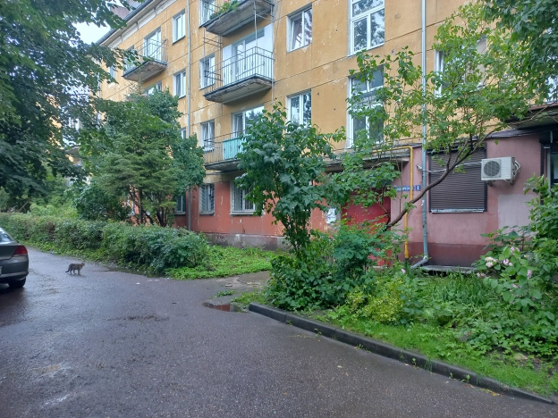 Купить двухкомнатную квартиру на улице Виктора Гакуна в Калининграде. Вариант № 1174727, 23, площадь -  квм, цена 5400000 рублей