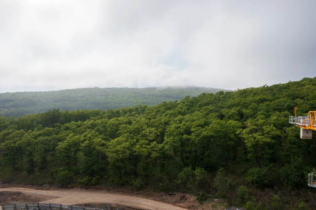Купить двухкомнатную квартиру в новостройках в Приморском крае. Вариант № 4137086, 2, площадь -  квм, цена 13200250 рублей