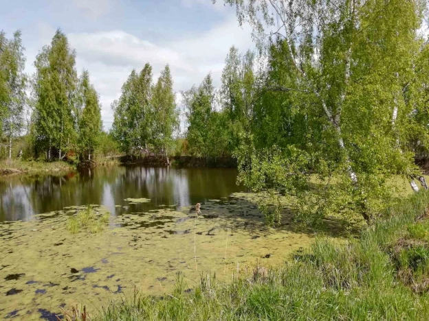 Купить земельный участок в Владимире. Вариант № 6075741, 3, площадь -  квм, цена 490000 рублей