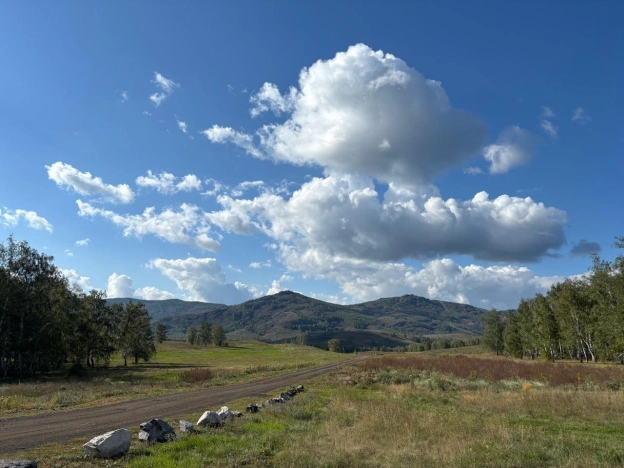 Купить земельный участок в Челябинской области. Вариант № 10243111, 0, площадь -  квм, цена 5500000 рублей
