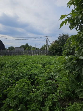 Купить земельный участок в Тобольске. Вариант № 1050538, 6, площадь -  квм, цена 1600000 рублей