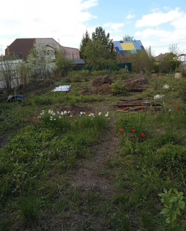 Купить дачу в Новосибирске. Вариант № 8834106, 4, площадь -  квм, цена 3000000 рублей