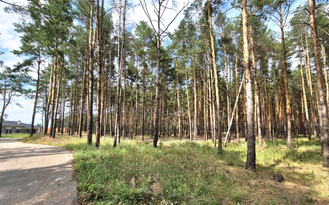 Купить земельный участок в Рязани. Вариант № 246707, 4, площадь -  квм, цена 3400000 рублей