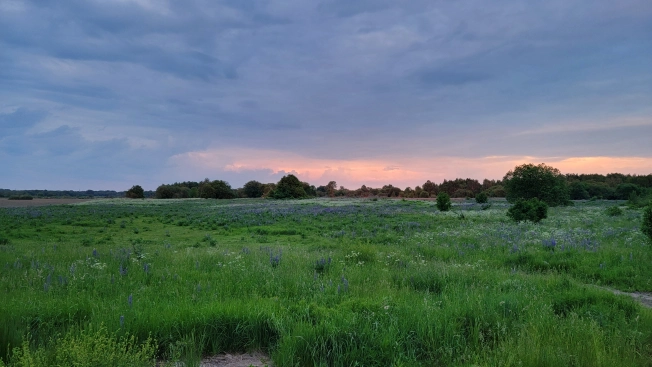 Купить дом в Зеленоградске. Вариант № 8433, 31, площадь - квм, цена 6100000 рублей