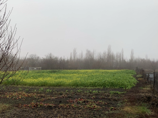 Купить дом в Воронеже. Вариант № 7653827, 19, площадь - квм, цена 1300000 рублей