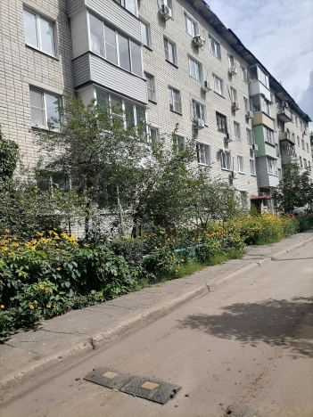 Купить квартиру на улице Туполева в Воронеже. Вариант № 23986, 1, площадь -  квм, цена 3290000 рублей