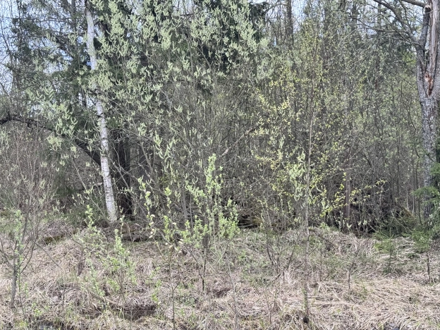 Купить земельный участок в Сергиеве Посаде. Вариант № 39491, 7, площадь -  квм, цена 2700000 рублей