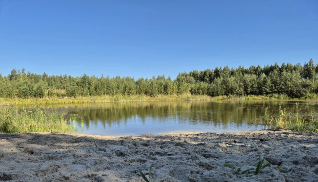 Купить дом на улице 2-й Аллейный проезд в Рязани. Вариант № 4011865, 12, площадь -  квм, цена 7999999 рублей