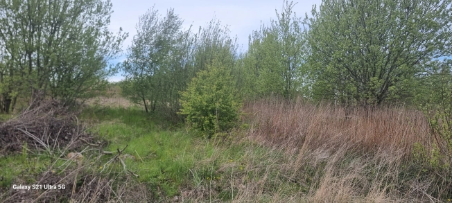 Купить земельный участок на улице 17-я линия в Светлогорске. Вариант № 40588, 0, площадь -  квм, цена 850000 рублей