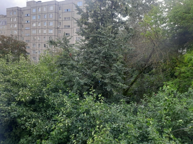 Купить квартиру на улице Северная в Владимире. Вариант № 21528, 15, площадь -  квм, цена 4999000 рублей