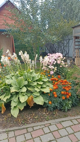 Купить дом в районе Заельцовский в Новосибирске. Вариант № 5441533, 30, площадь -  квм, цена 12990000 рублей