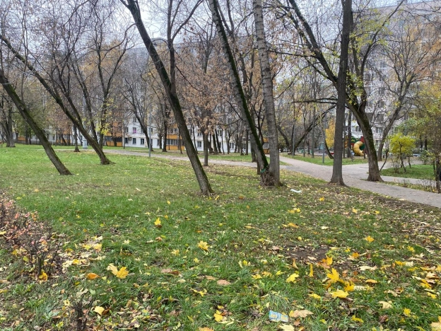 Снять квартиру в Москве. Вариант № 8479702, 33, площадь -  квм, цена 70000 рублей