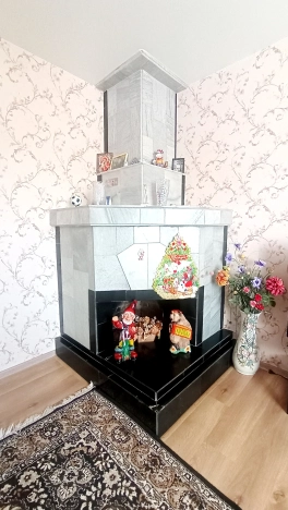 Купить дом в Омске. Вариант № 37784, 10, площадь -  квм, цена 13000000 рублей