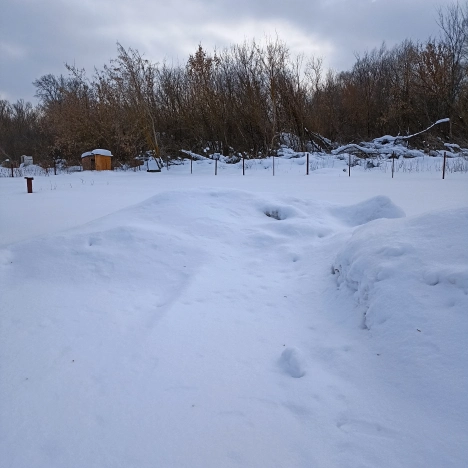 . Вариант № 25890, 1, площадь -  квм, цена 350000 рублей