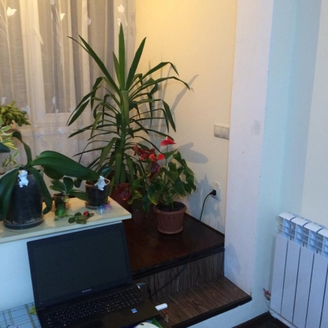 Купить двухкомнатную квартиру на вторичке в Московской области. Вариант № 6181, 1, площадь -  квм, цена 7200000 рублей