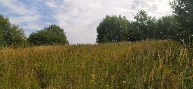 Купить земельный участок в Коломне. Вариант № 620, 3, площадь -  квм, цена 900000 рублей