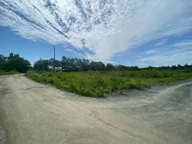 Купить земельный участок на улице Берёзовый переулок в Южно-Сахалинске. Вариант № 9447, 2, площадь - квм, цена 1400000 рублей