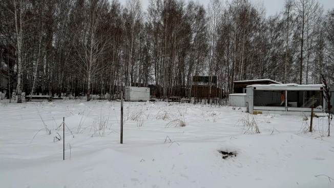 Купить земельный участок в Новосибирске. Вариант № 8994013, 3, площадь -  квм, цена 1600000 рублей