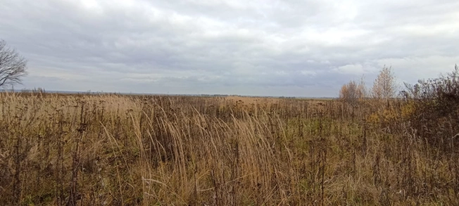 Купить земельный участок в Нижегородской области. Вариант № 8175666, 1, площадь -  квм, цена 800000 рублей