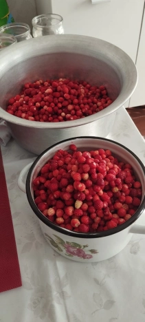 Купить дом на улице Кирова в Нижегородской области. Вариант № 58060, 21, площадь -  квм, цена 990000 рублей