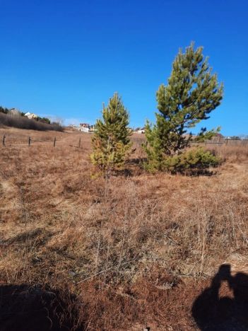 Купить земельный участок в Иркутске. Вариант № 9617480, 3, площадь -  квм, цена 700000 рублей