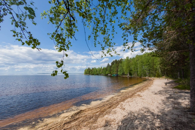 Купить земельный участок на улице Центральная в Республике Карелия. Вариант № 46093, 6, площадь -  квм, цена 1650000 рублей