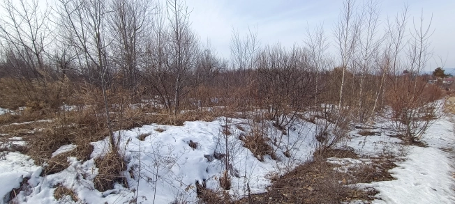 Купить земельный участок в Арсеньеве. Вариант № 28052, 0, площадь -  квм, цена 450000 рублей