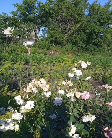Купить квартиру на улице Пролетарская в Алтайском крае. Вариант № 3868362, 5, площадь -  квм, цена 3000000 рублей