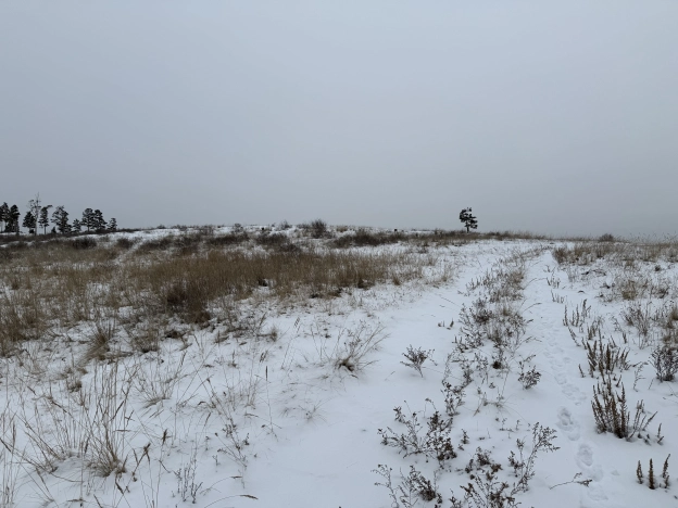 Купить земельный участок в Улан-Удэ. Вариант № 9501470, 2, площадь -  квм, цена 350000 рублей