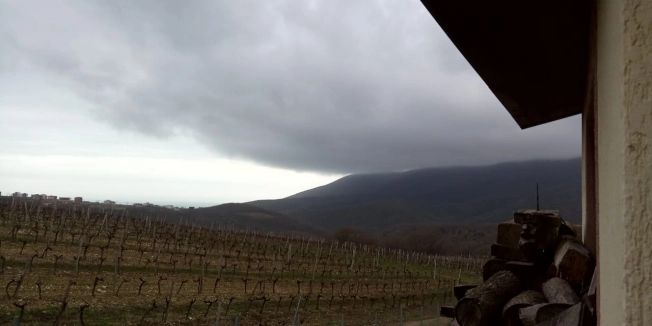 Купить дом на улице Октябрьский переулок в Новороссийске. Вариант № 4250, 22, площадь -  квм, цена 16800000 рублей