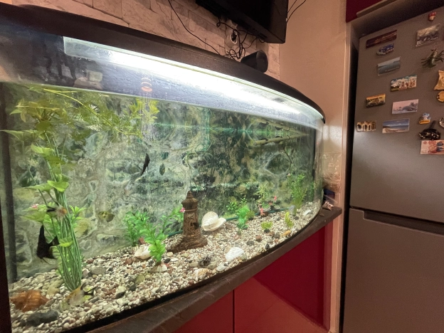 Снять квартиру в Калининграде. Вариант № 9712496, 5, площадь -  квм, цена 35000 рублей