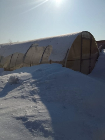 Купить дом на улице Садовая в Алтайском крае. Вариант № 29401, 8, площадь -  квм, цена 7000000 рублей