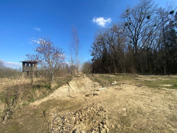 Купить земельный участок в Калининградской области. Вариант № 32240, 13, площадь -  квм, цена 2700000 рублей