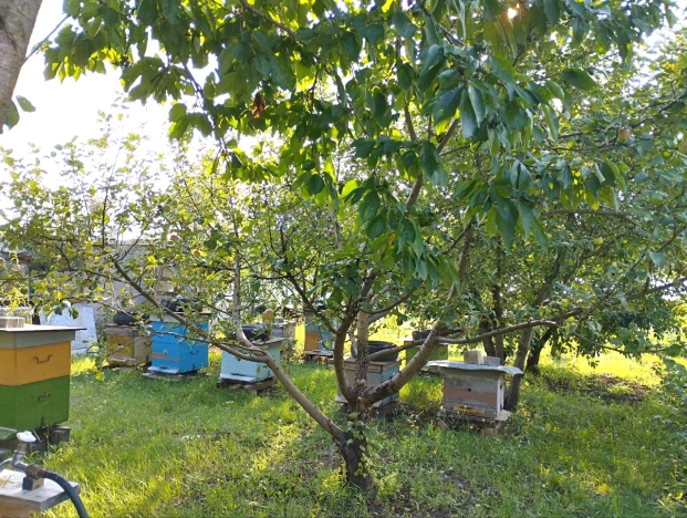 . Вариант № 1889252, 33, площадь - 118.4 квм, цена 6300000 рублей