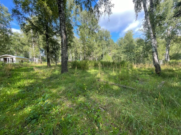 Купить земельный участок в Искитиме. Вариант № 2589292, 2, площадь -  квм, цена 95000000 рублей