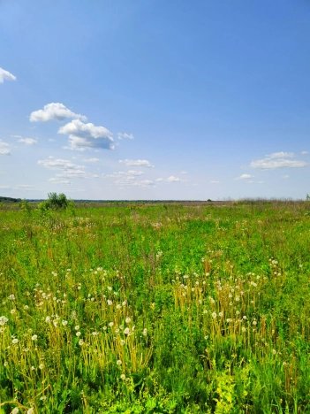 Купить земельный участок на улице Белые Ночи в Вологодской области. Вариант № 5137, 3, площадь -  квм, цена 325800 рублей