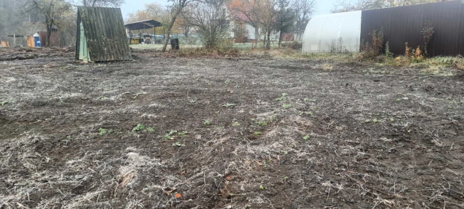 Купить дачу на улице Солнечная в Московской области. Вариант № 16563, 5, площадь -  квм, цена 310000 рублей